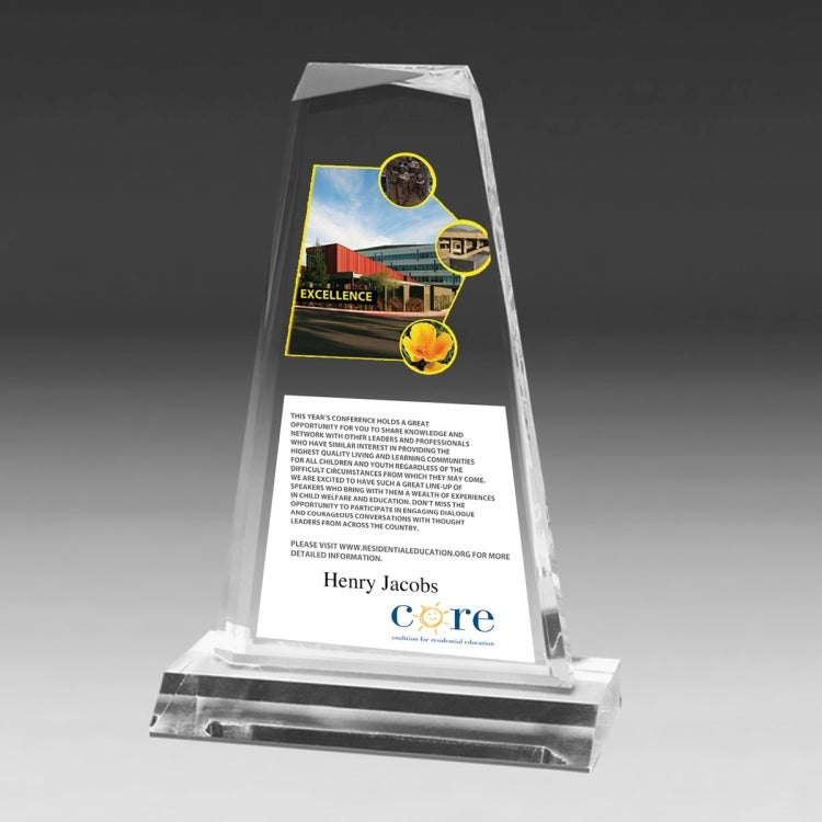 Multi-Faceted Acrylic Award - 8 3/4" - Screen Print