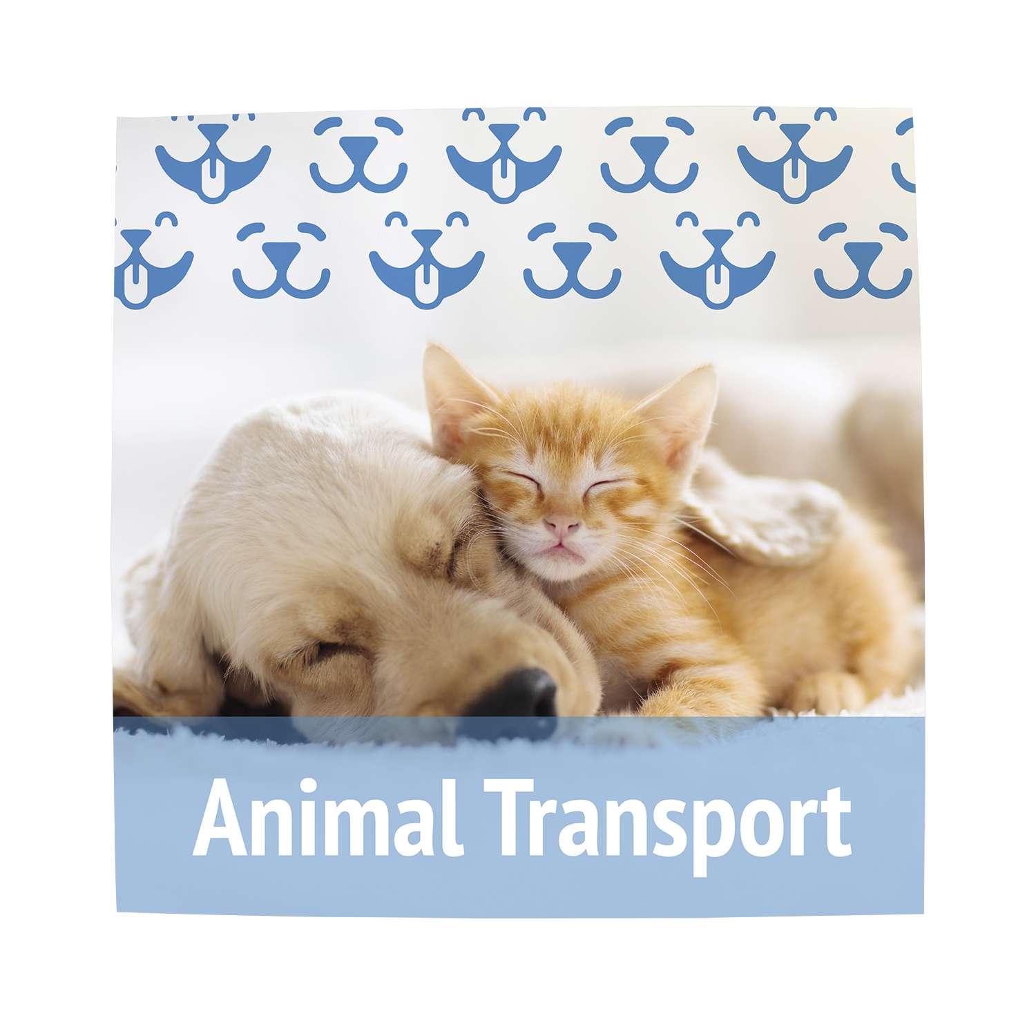 24" x 24" Magnet Promo Sign