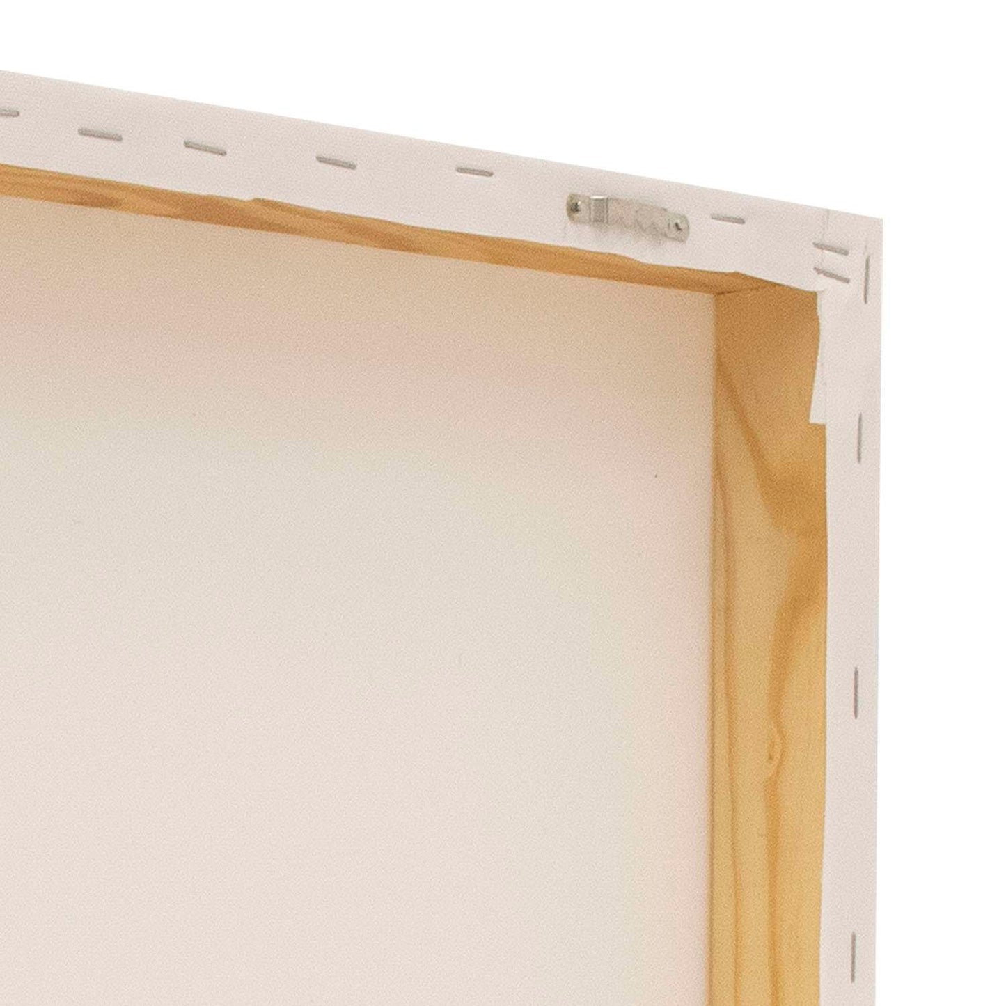 24" x 36" Canvas Print