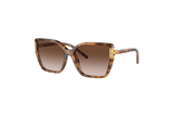 Tory Burch Women's Eleanor Oversized Cat-Eye Sunglasses