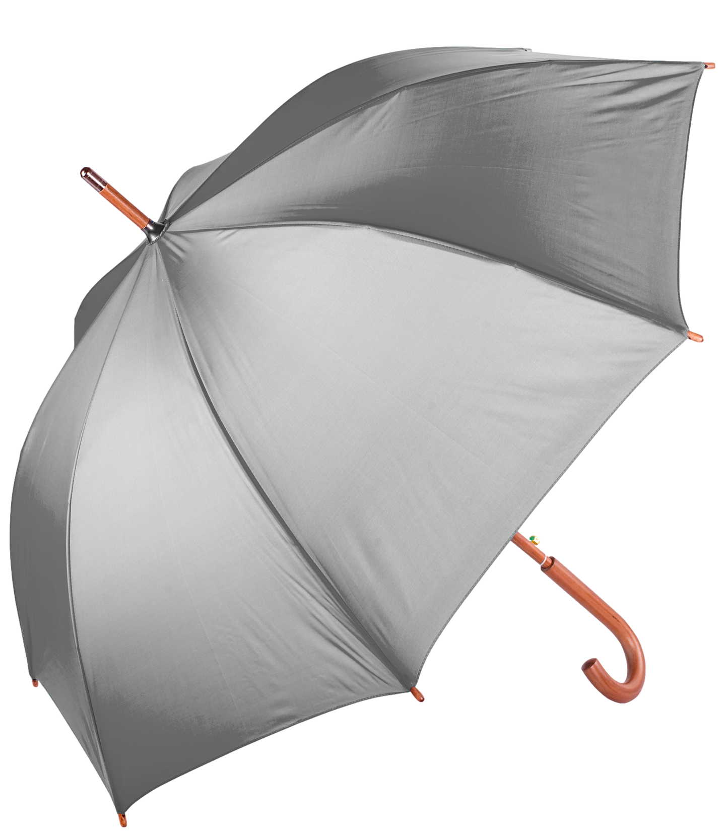 The Hotel Umbrella