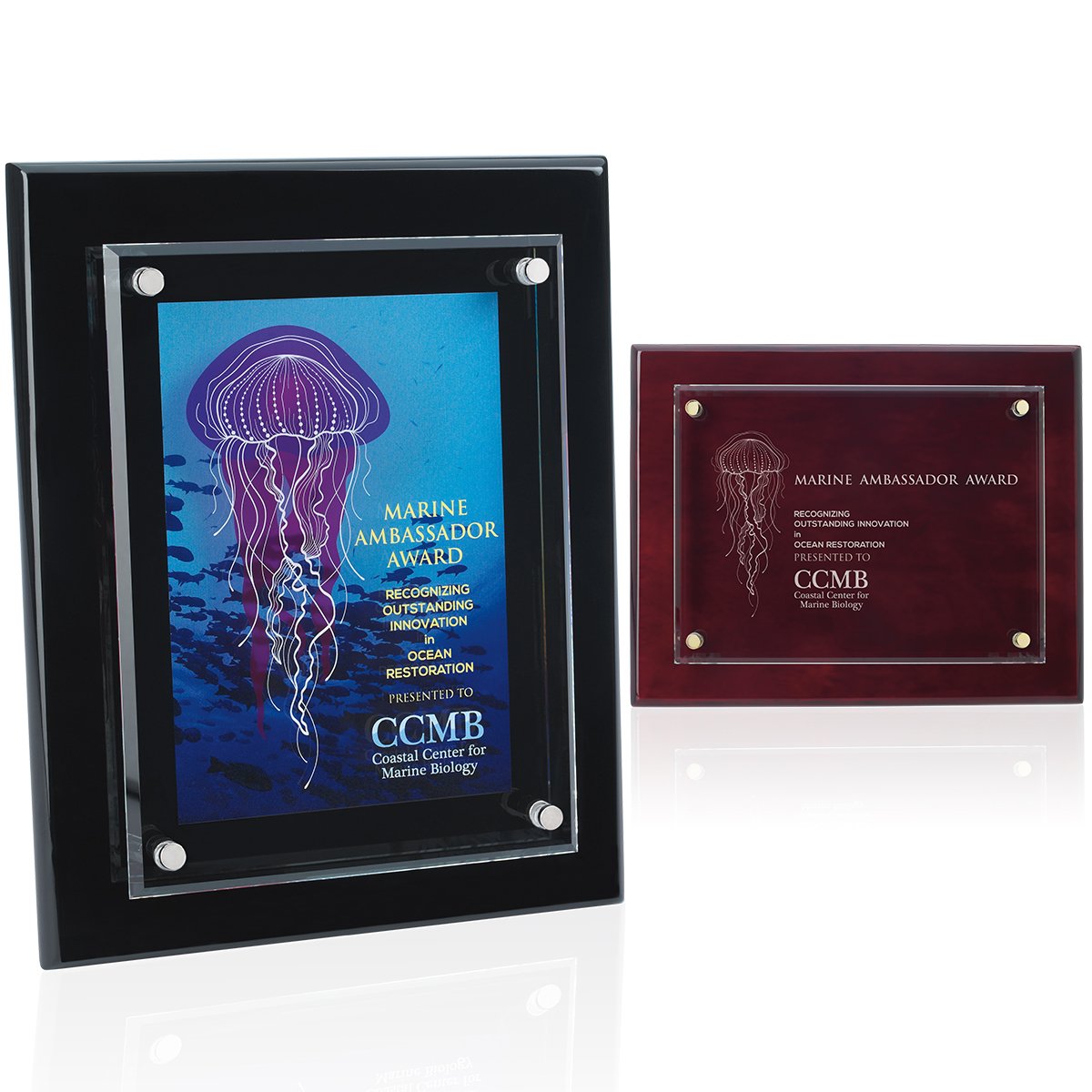 Rosewood JAFFA® Floating Glass Plaque - 8" x 10"