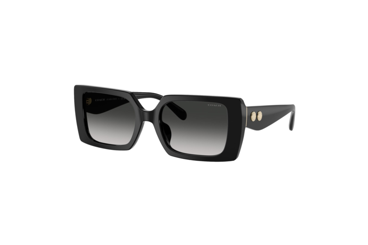 Coach Women's Rogue Oversized Square Sunglasses