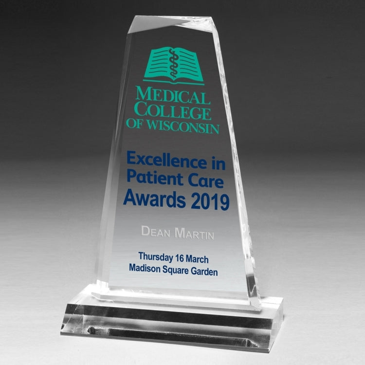 Multi-Faceted Acrylic Award - 8 3/4" - Screen Print