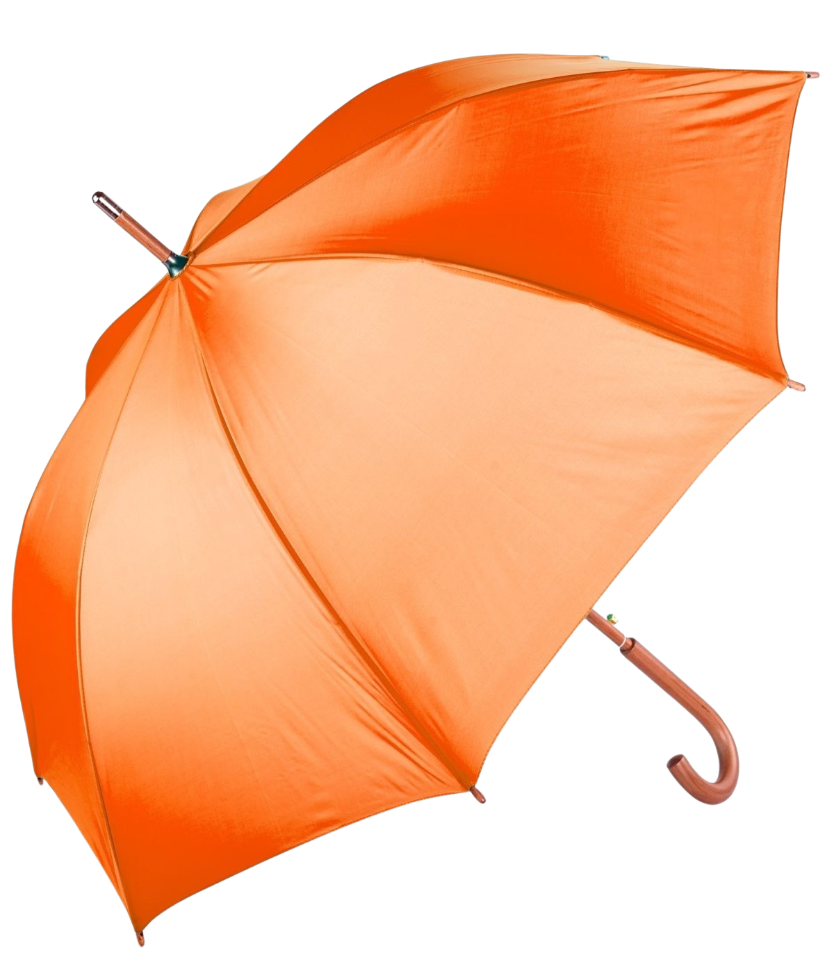 The Hotel Umbrella