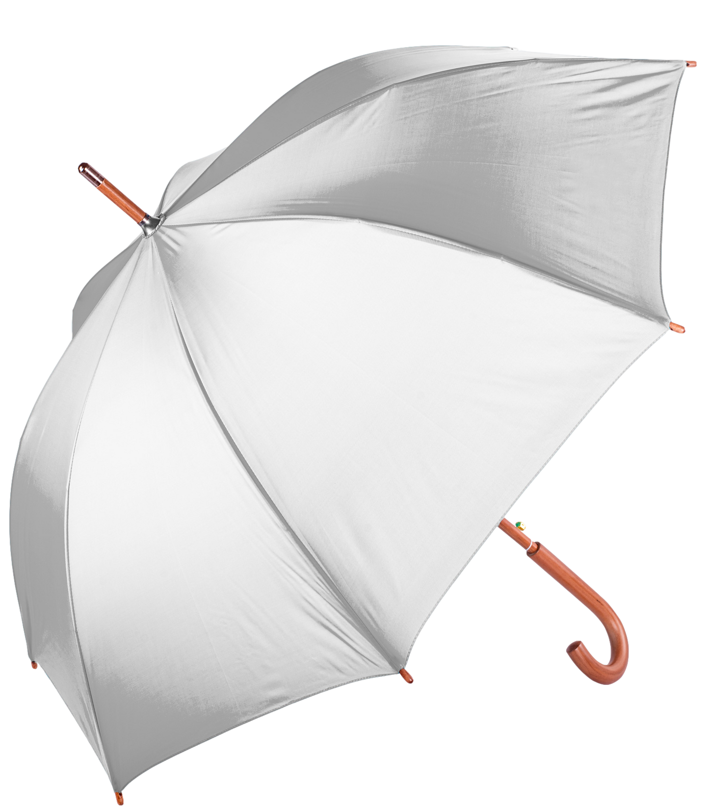 The Hotel Umbrella