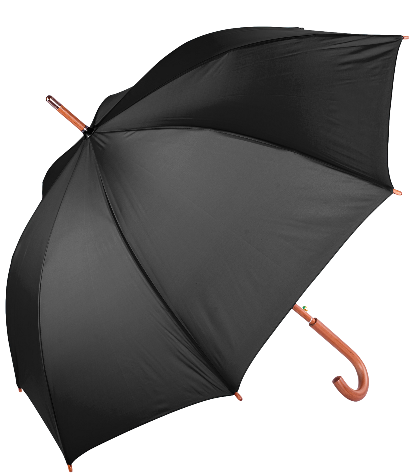 The Hotel Umbrella