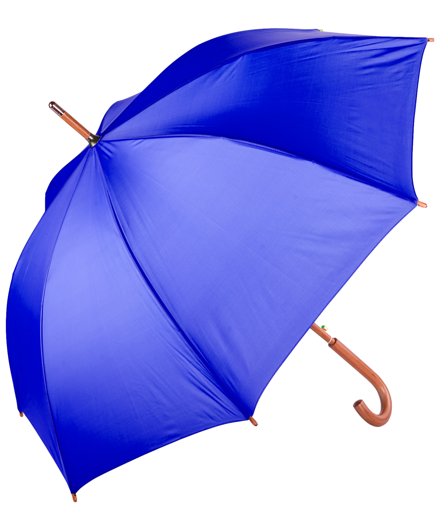The Hotel Umbrella