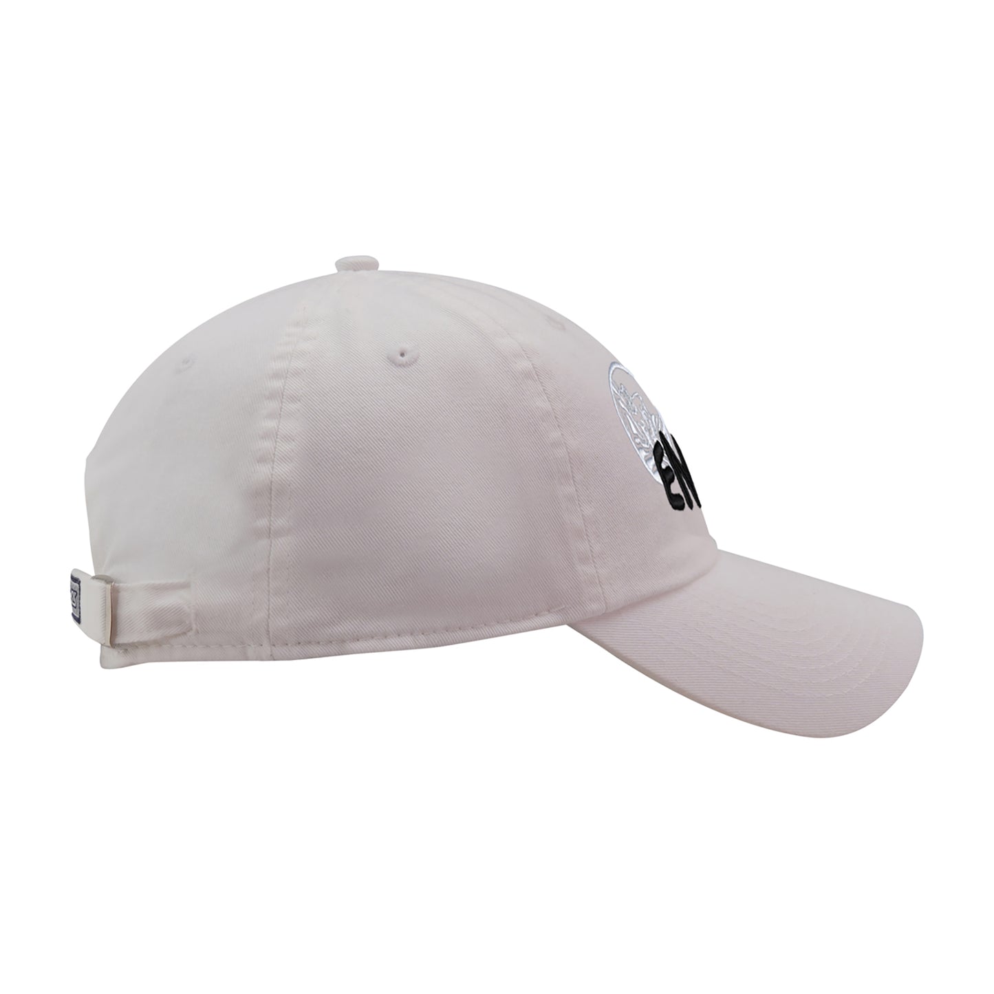 Ahead Largo Cap
