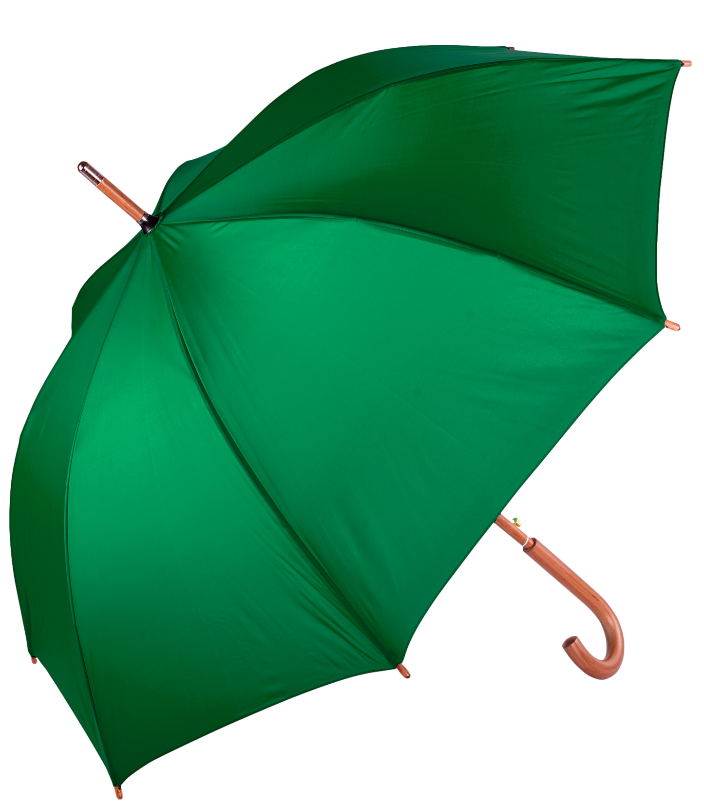 The Hotel Umbrella