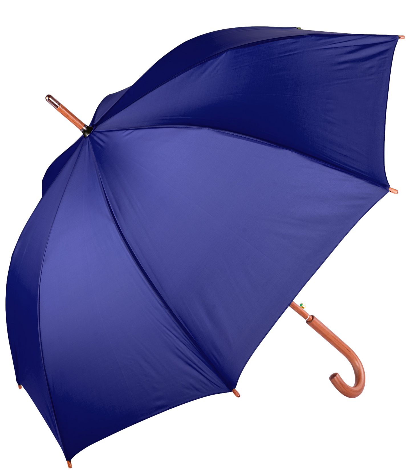 The Hotel Umbrella