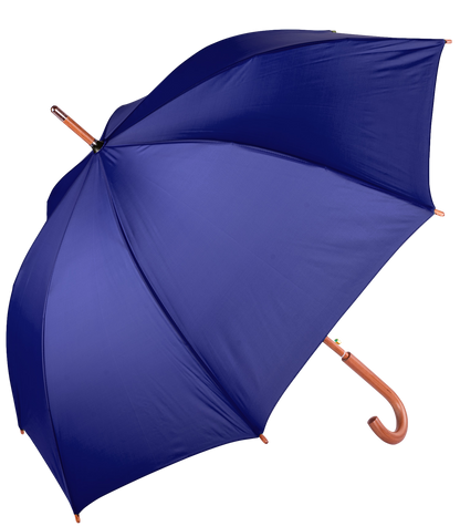 The Hotel Umbrella