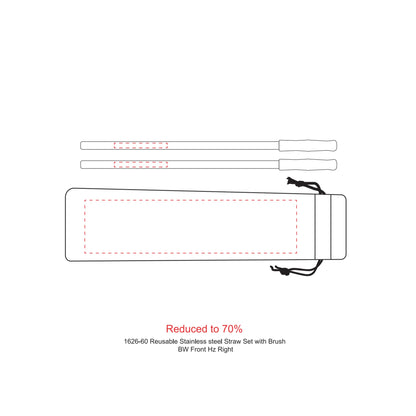 Reusable Stainless steel Straw Set with Brush