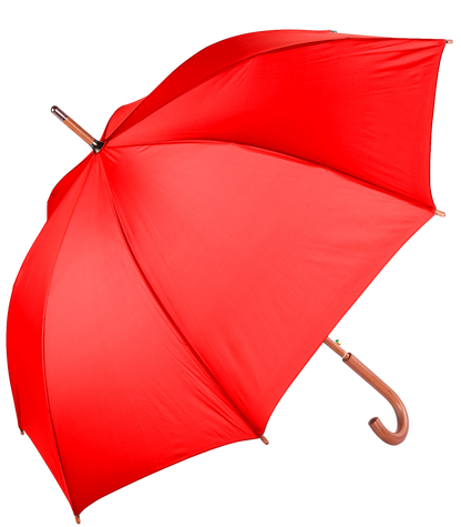 The Hotel Umbrella