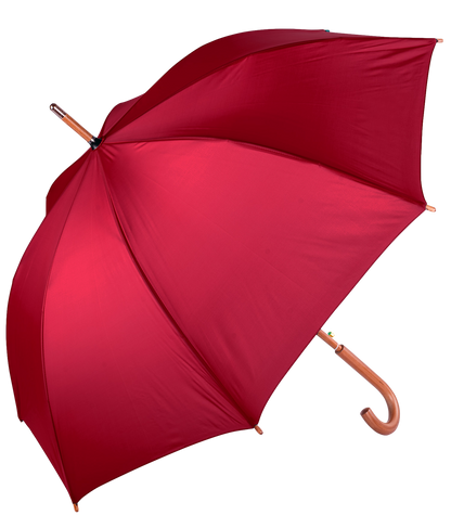 The Hotel Umbrella