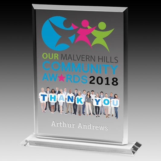 4 Color Process Billboard Award - 7"