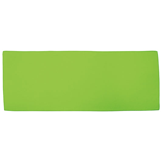 Front View of Gray Carabiner Bottle with Cooling Towel