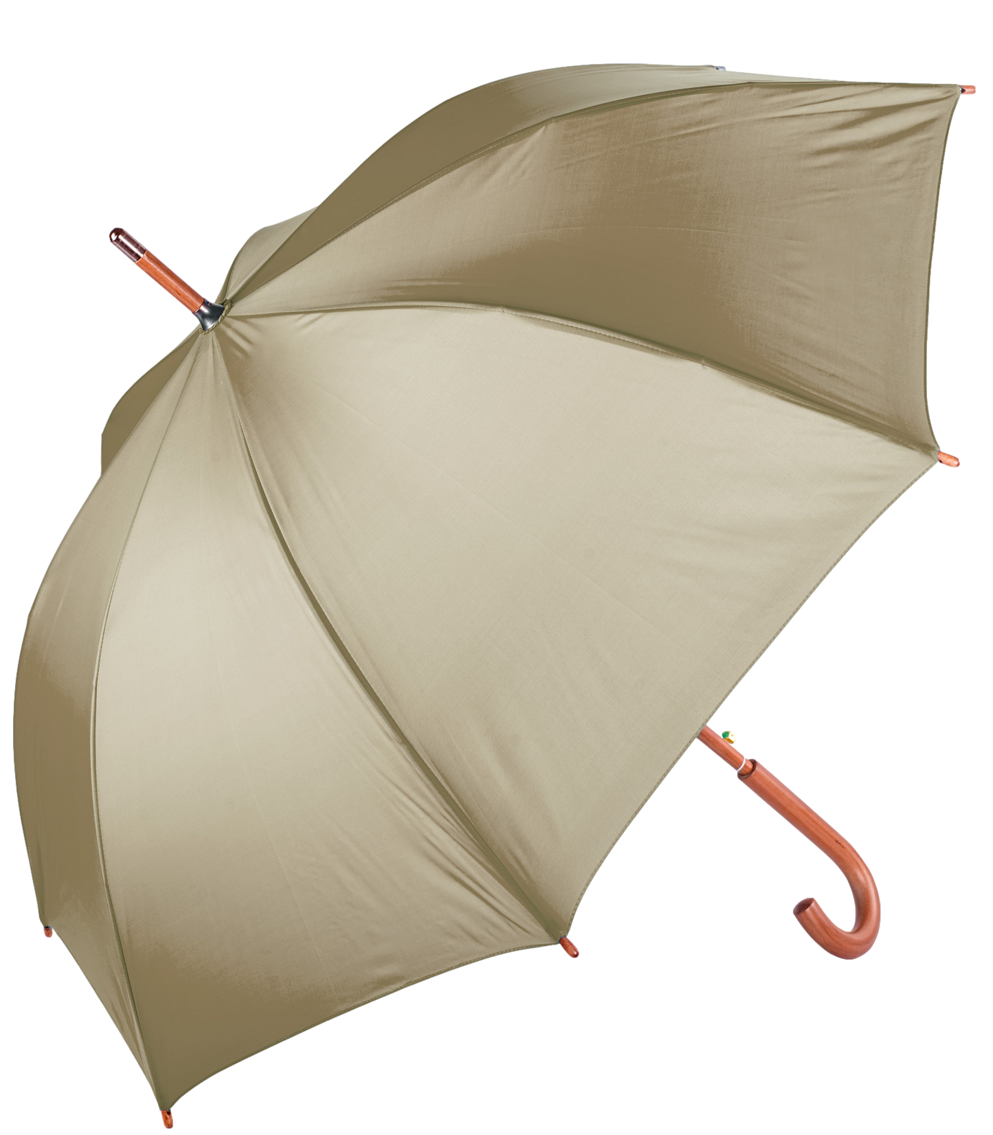 The Hotel Umbrella