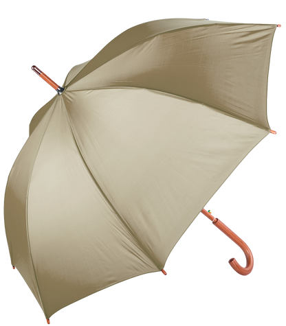The Hotel Umbrella