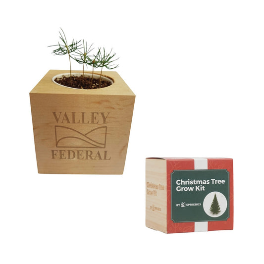 N/A Sprigbox Christmas Tree Grow Kit
