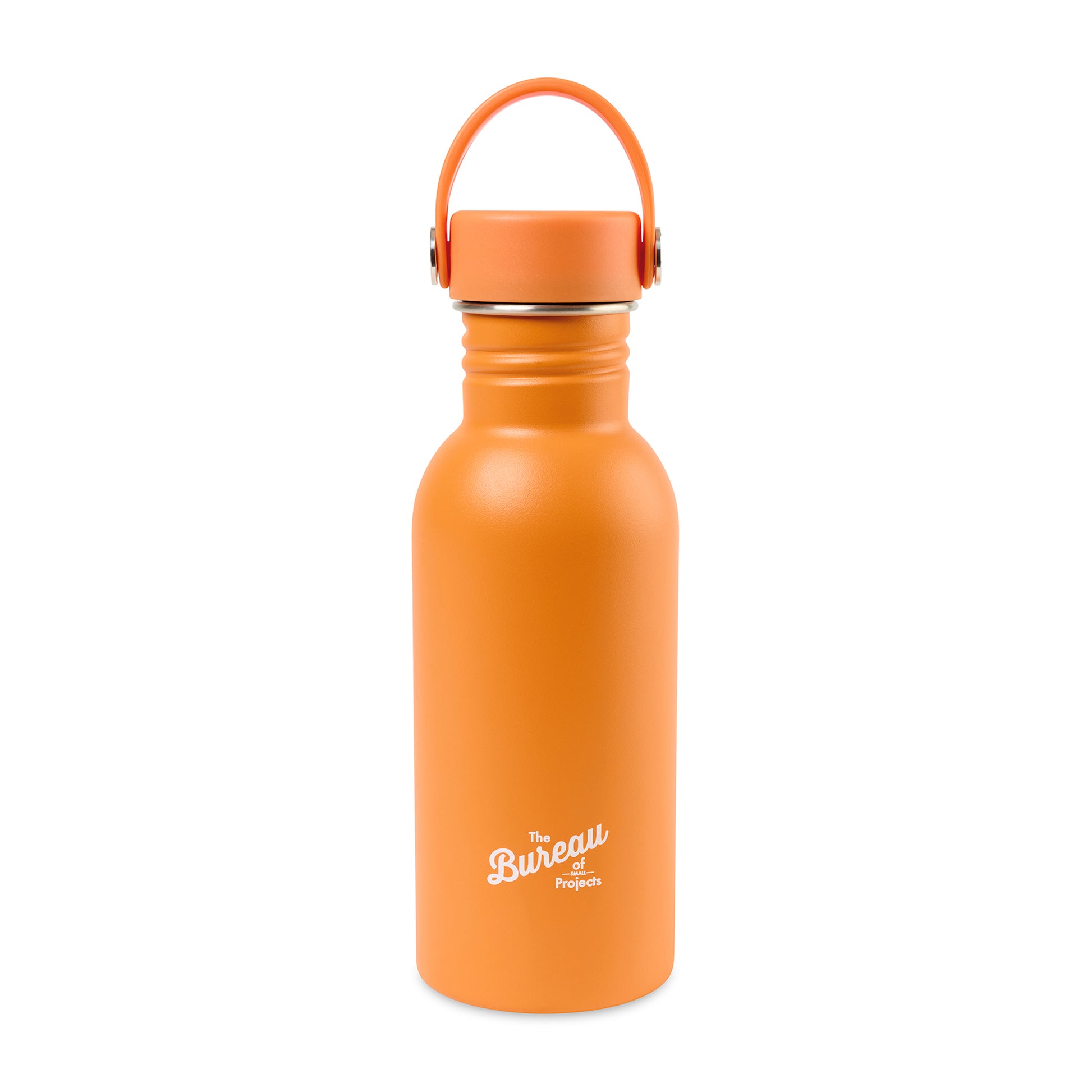 Carrot Curl Arlo Classics Stainless Steel Hydration Bottle - 17 Oz.