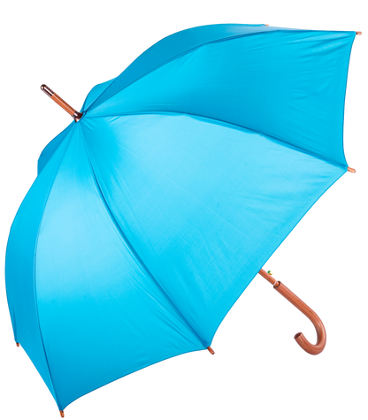 The Hotel Umbrella