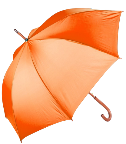 The Hotel Umbrella