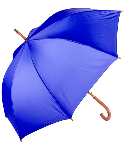 The Hotel Umbrella