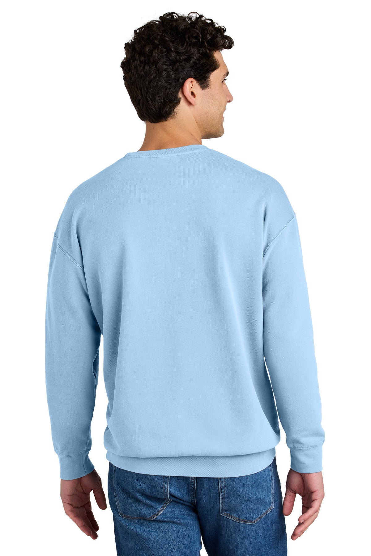 Hydrangea Comfort Colors Lightweight Crewneck Sweatshirt 1466