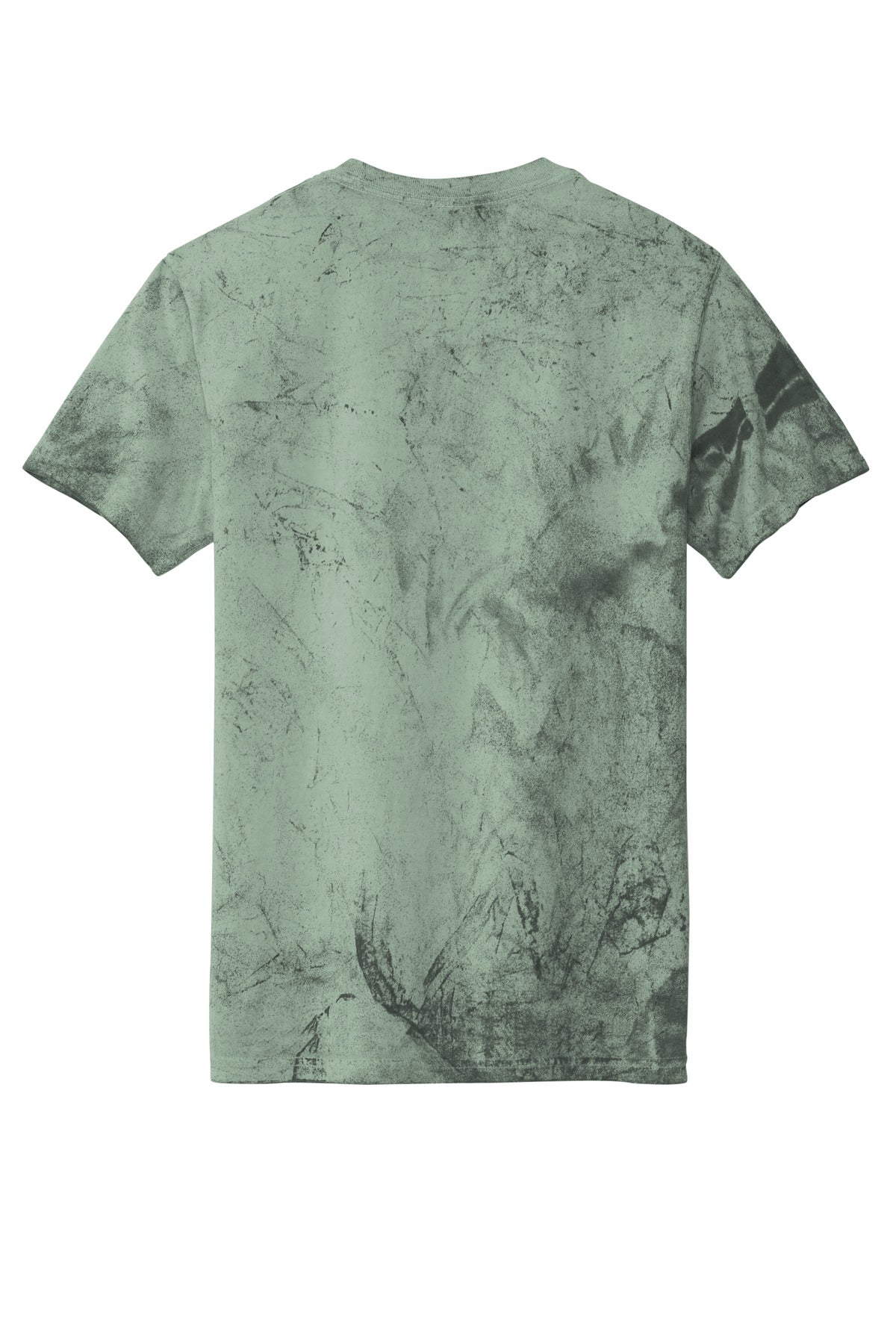 Rear View of Fern Comfort Colors Heavyweight Color Blast Tee 1745