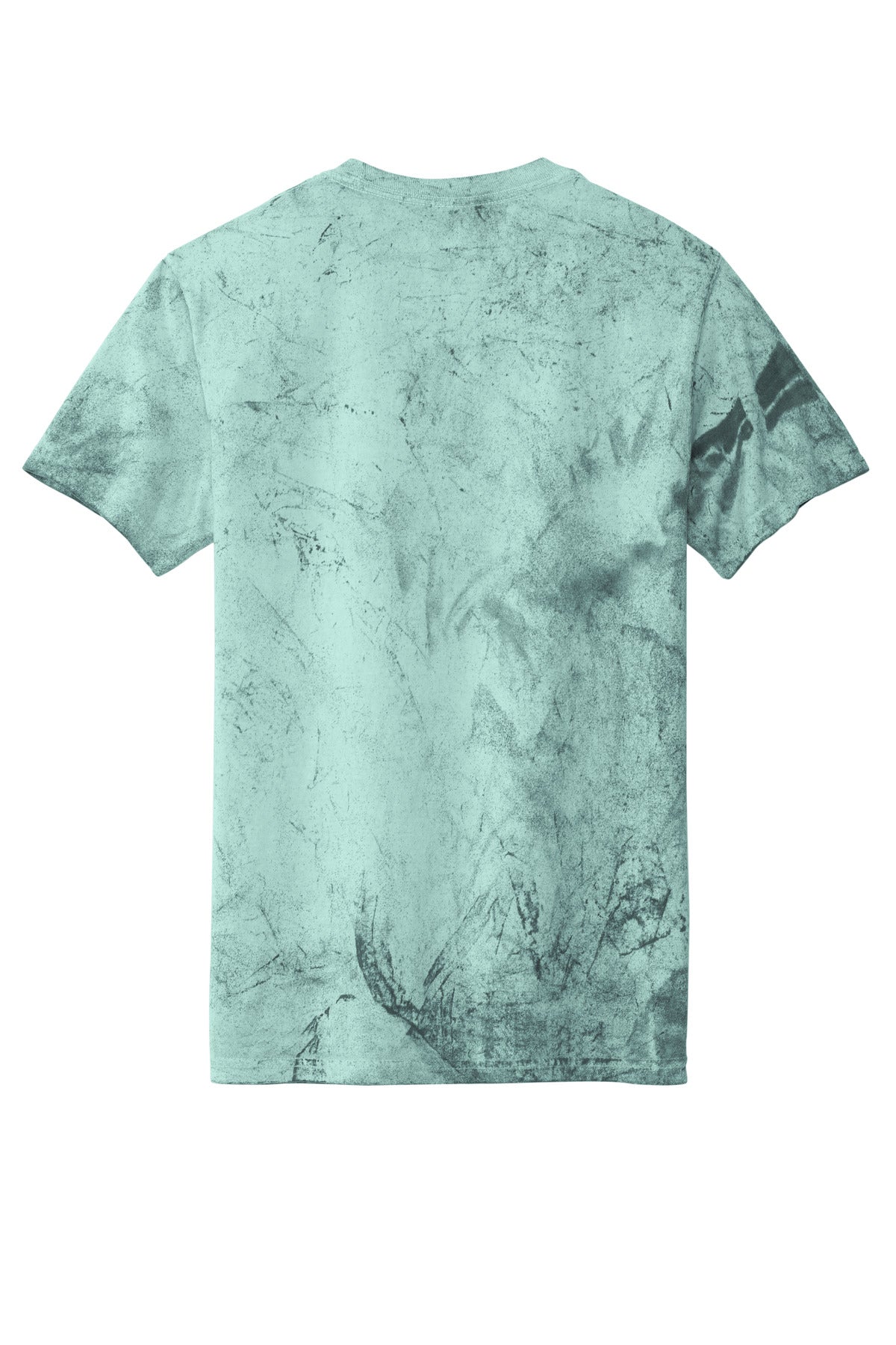 Rear View of SeaGlass Comfort Colors Heavyweight Color Blast Tee 1745