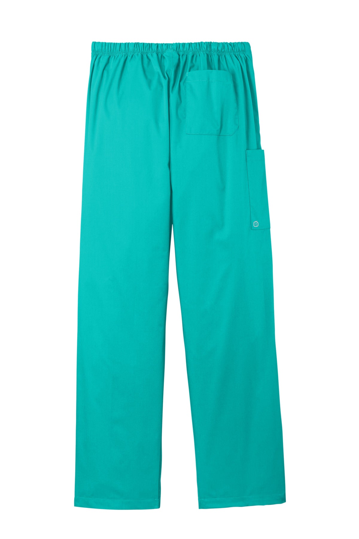 Rear View of Teal Wink Unisex WorkFlex Cargo Pant WW3150